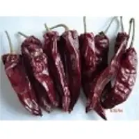 Indian red chilli - sannam s4